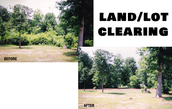 land clearing before and after