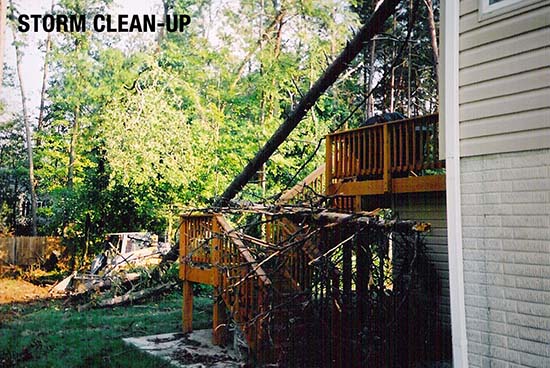 storm cleanup central florida